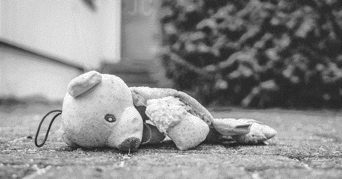 Broken